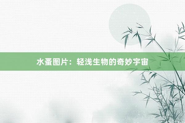 水蚤图片：轻浅生物的奇妙宇宙